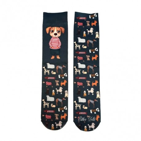 Calcetines perro
